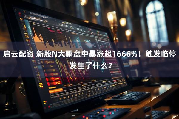 启云配资 新股N大鹏盘中暴涨超1666%！触发临停 发生了什么？
