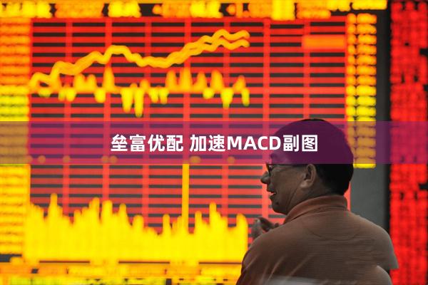 垒富优配 加速MACD副图